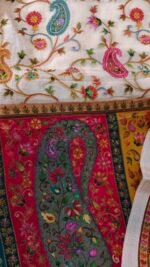 Elegant Position Work Beige Dola Silk Suit - Image 4